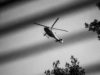 Kaj se dogaja na Uršnih selih? Slišati naj bi bilo strele, nad vasjo kroži policijski helikopter – znane so prve informacije