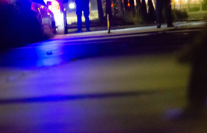 Moški si je odrezal penis, ga zažgal in z njim zanetil požar v sosedovi garaži (FOTO)