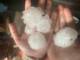 Slovenija POZOR: Takšno vreme nas čaka jutri zvečer – Vremenoslovci svarijo – Po več dneh izjemno visokih temperatur Slovenijo sedaj čaka…