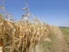 Imate dovolj vročine? Nemški klimatolog: To je najhladnejše poletje v naslednjih 300 letih