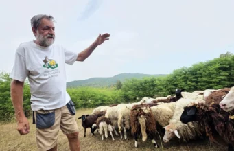 Tatovi so jim zvezali noge: Bojim se, da jih bodo preprosto zaklali
