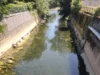 Iz Ljubljanice štrli kup vozičkov in znakov, pristojni pa: »Pripravljamo program«