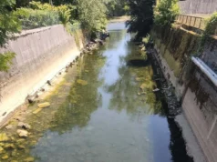 Iz Ljubljanice štrli kup vozičkov in znakov, pristojni pa: »Pripravljamo program«