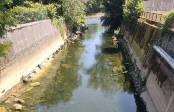 Iz Ljubljanice štrli kup vozičkov in znakov, pristojni pa: »Pripravljamo program«