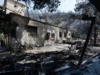 Oglasila se je Slovenka z Dugega otoka: »Umaknila sva se čim prej …« (VIDEO)