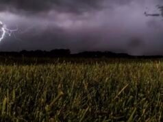 Sinočnje neurje na Žalskem terjalo življenje: strela ubila 46-letnika (FOTO)