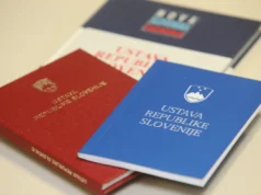 Kolumna Aleksandra Brudarja: Ustavo v vsak žep