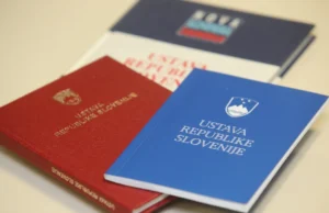 Kolumna Aleksandra Brudarja: Ustavo v vsak žep