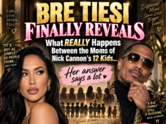 Bre Tiesi Finally Reveals What Really Happens Between the Moms of Nick Cannon’s 12 Kids — Her Answer Says a Lot