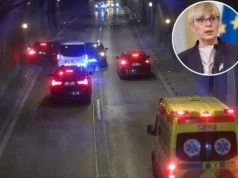 Nesreča Pirc Musarjeve: notranji nadzor na koprski policiji razkril, kaj se je dogajalo