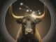 Taurus: Before September 20 Ends, Something You’ve Been Waiting For May Finally Start to Make Sense