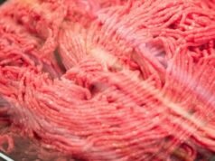 POZOR: V tej trgovini so v mletem mesu odkrili SALMONELO – Poglejte, za katero gre, in takoj preverite zamrzovalnik…