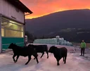 NOV POLITIČNI SPOR MED JANŠO IN GOLOBOM! JANŠEVA VLADA USTAVILA GOLOBOV PREDLOG – Poglejte, kaj se je zgodilo in koga bi lahko prizadela ta odločitev!