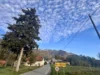 GROZLJIVA DRUŽINSKA TRAGEDIJA PRETRESA SLOVENIJO! Sin naj bi umoril lastno mater in zažgal hišo – kar so izvedeli o njem, je pretreslo celo vas!