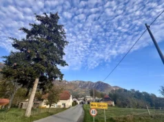GROZLJIVA DRUŽINSKA TRAGEDIJA PRETRESA SLOVENIJO! Sin naj bi umoril lastno mater in zažgal hišo – kar so izvedeli o njem, je pretreslo celo vas!
