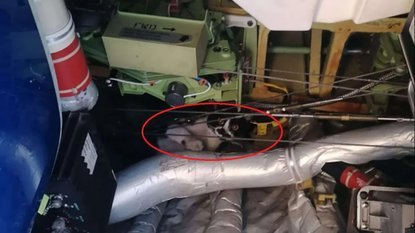 GROZLJIVO, KAJ SE JE ZGODILO V SLOVENIJI! Mačka se je po več dneh vrnila domov, veterinar pa je odkril nekaj pretresljivega!
